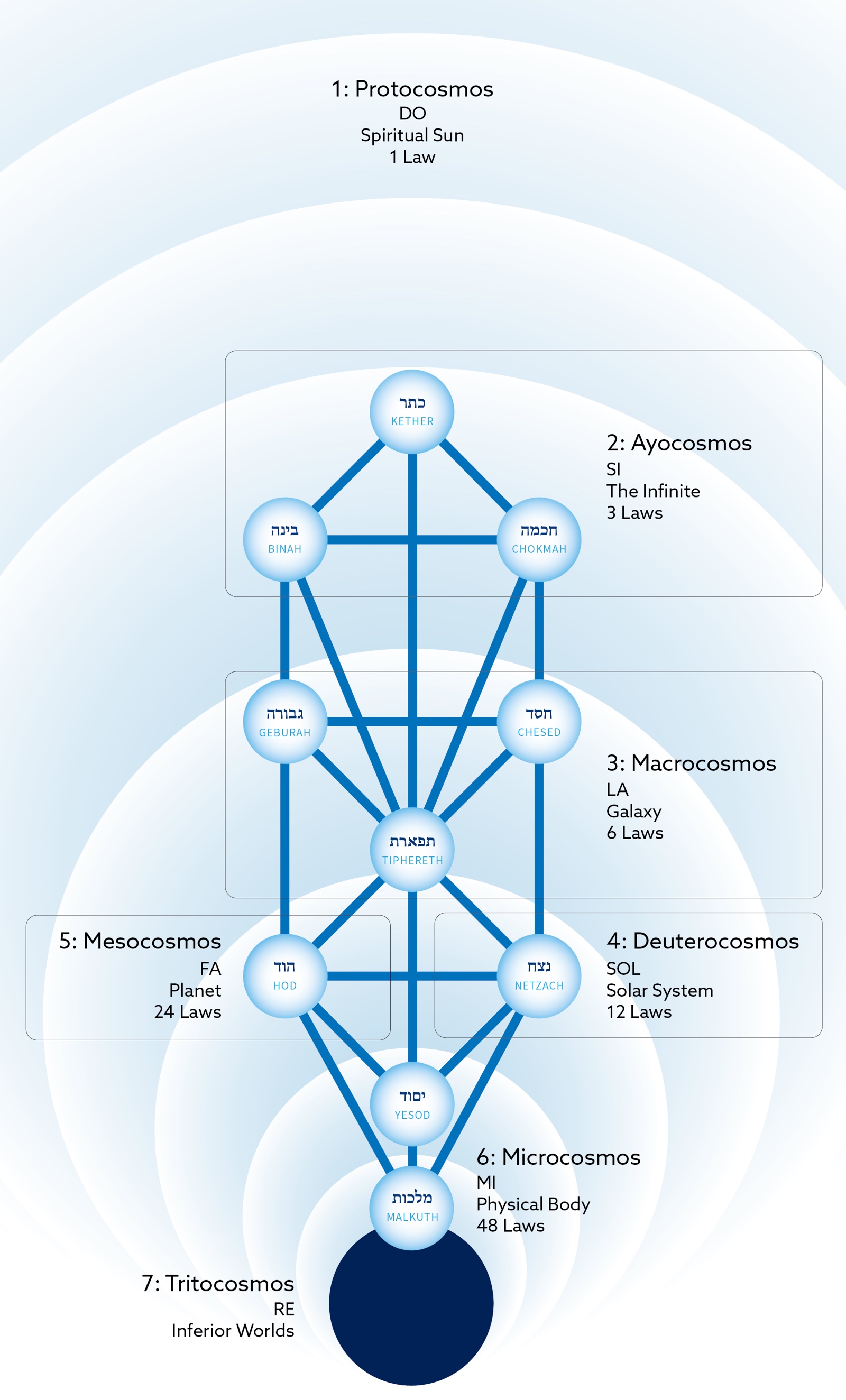 Laws on the Tree of Life