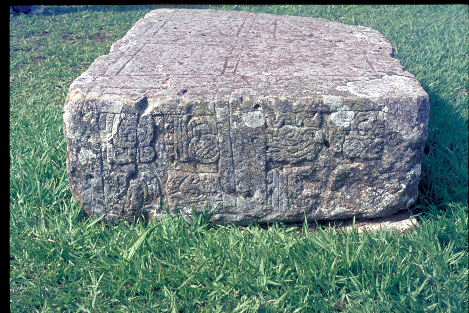 Altar Y