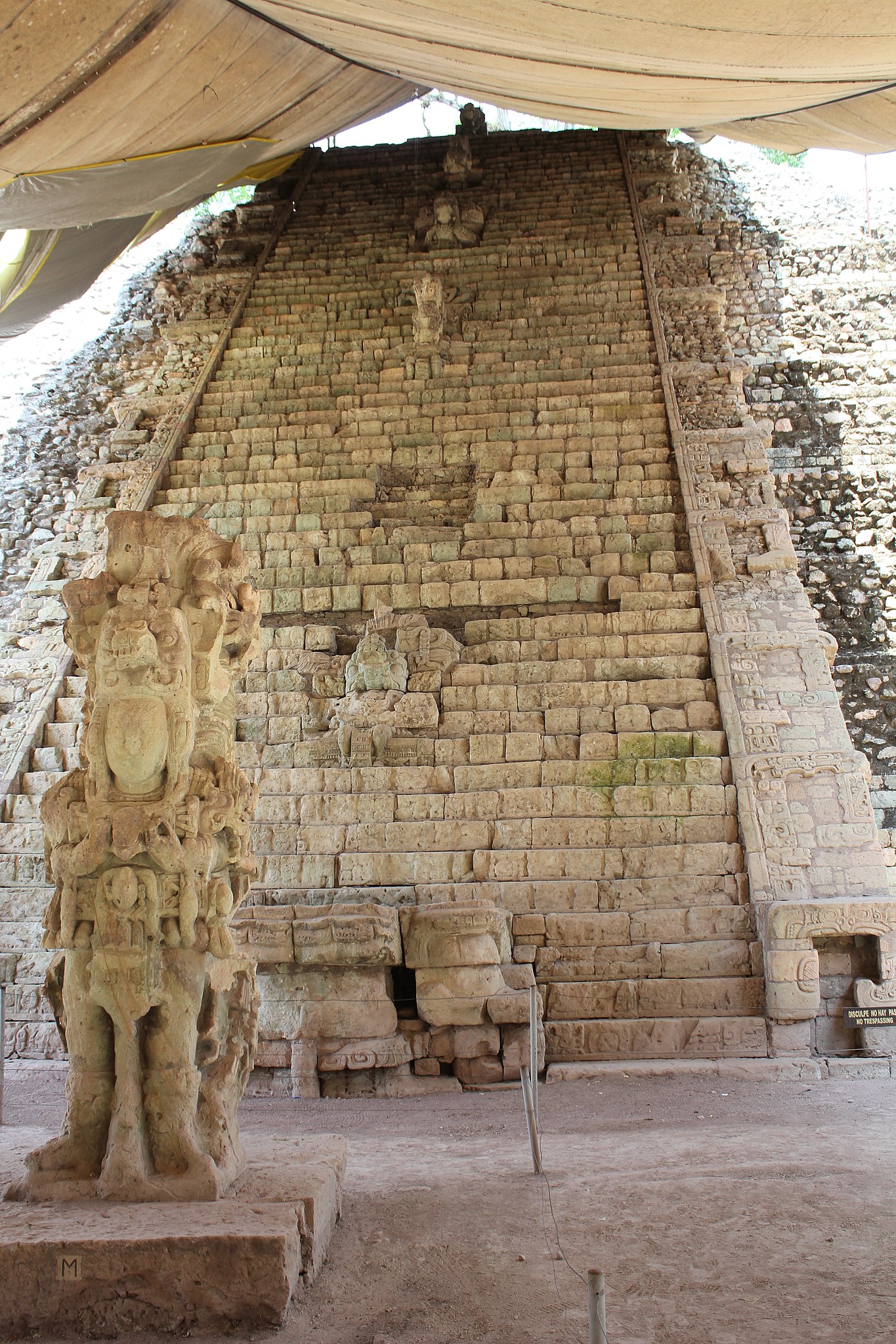The Hieroglyphic Stairway climbs the west side of Structure 10L-26. It is 10 meters wide and has a total of 62 steps. Stela M and its associated altar are at its base and a large sculpted figure is located in the centre of every 12th step.