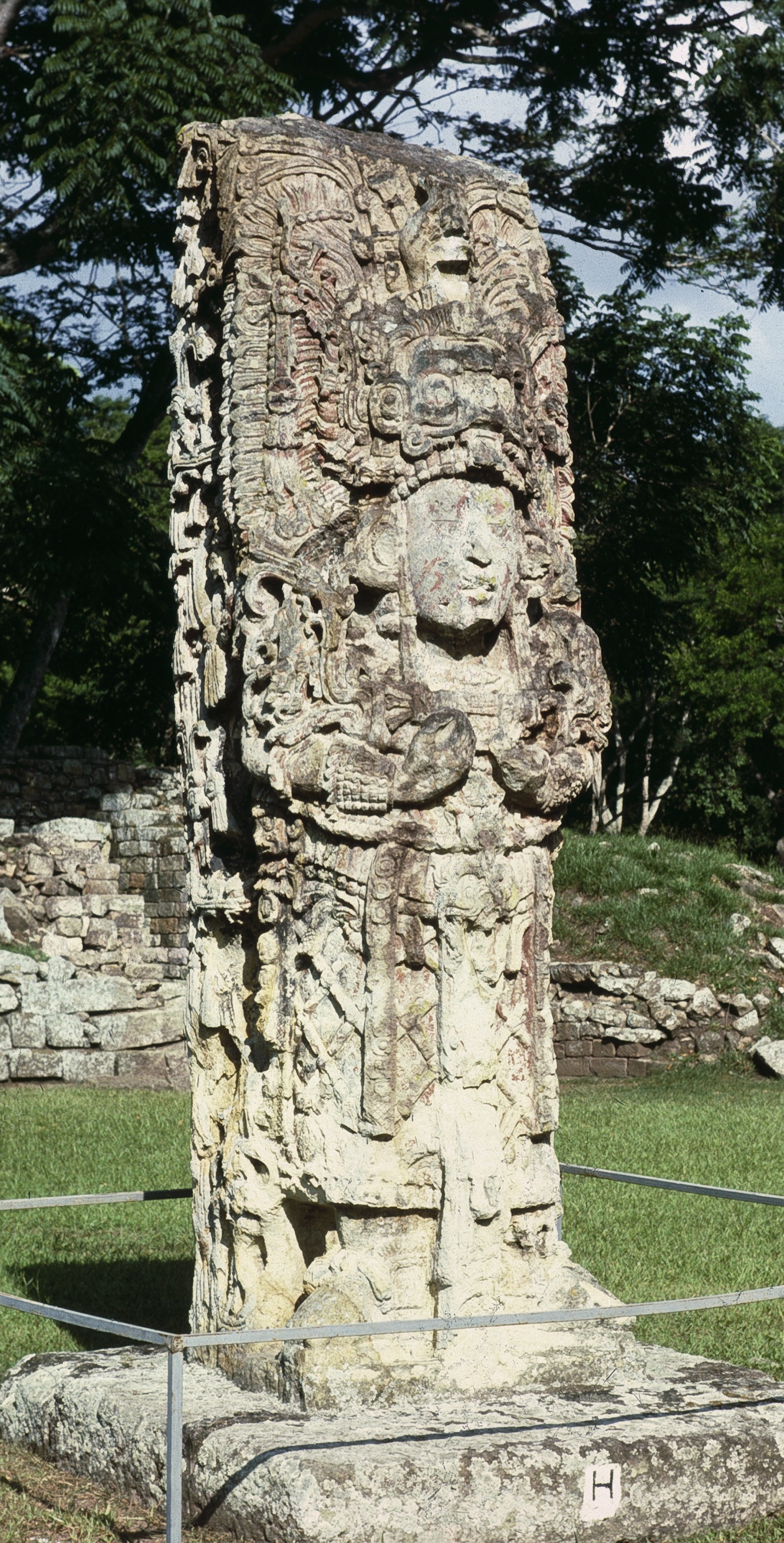 Stela H