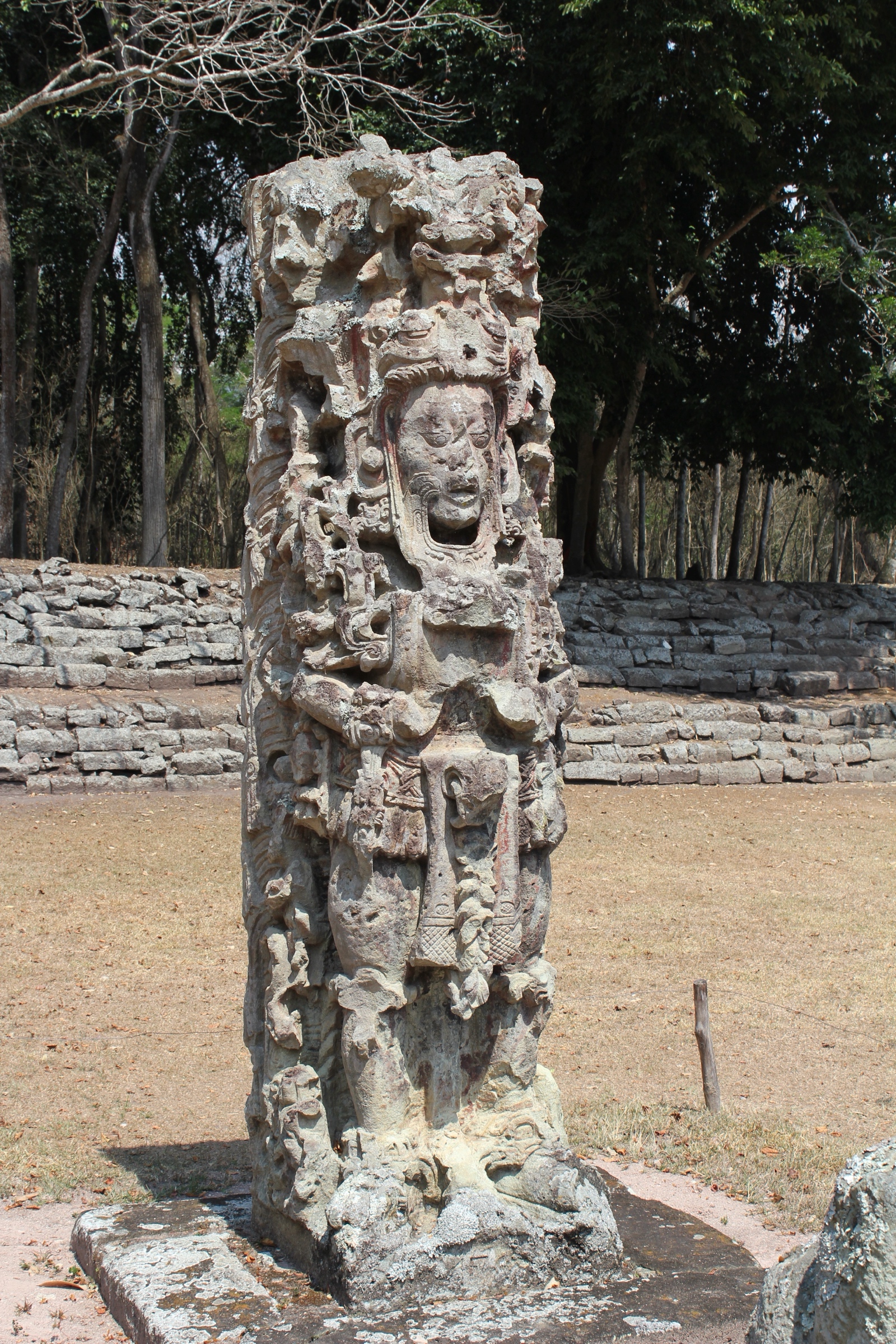 Stela F