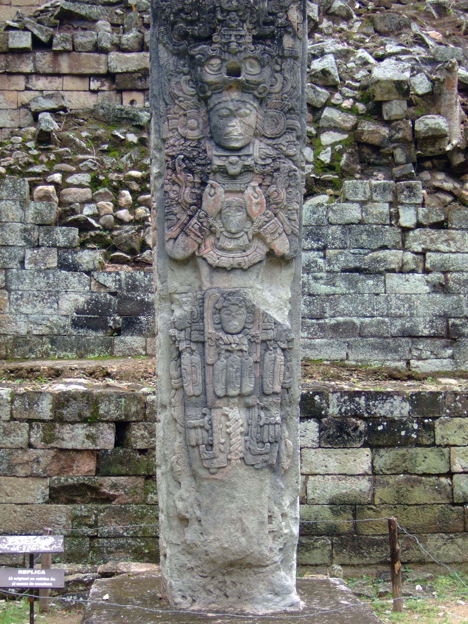 Stela P
