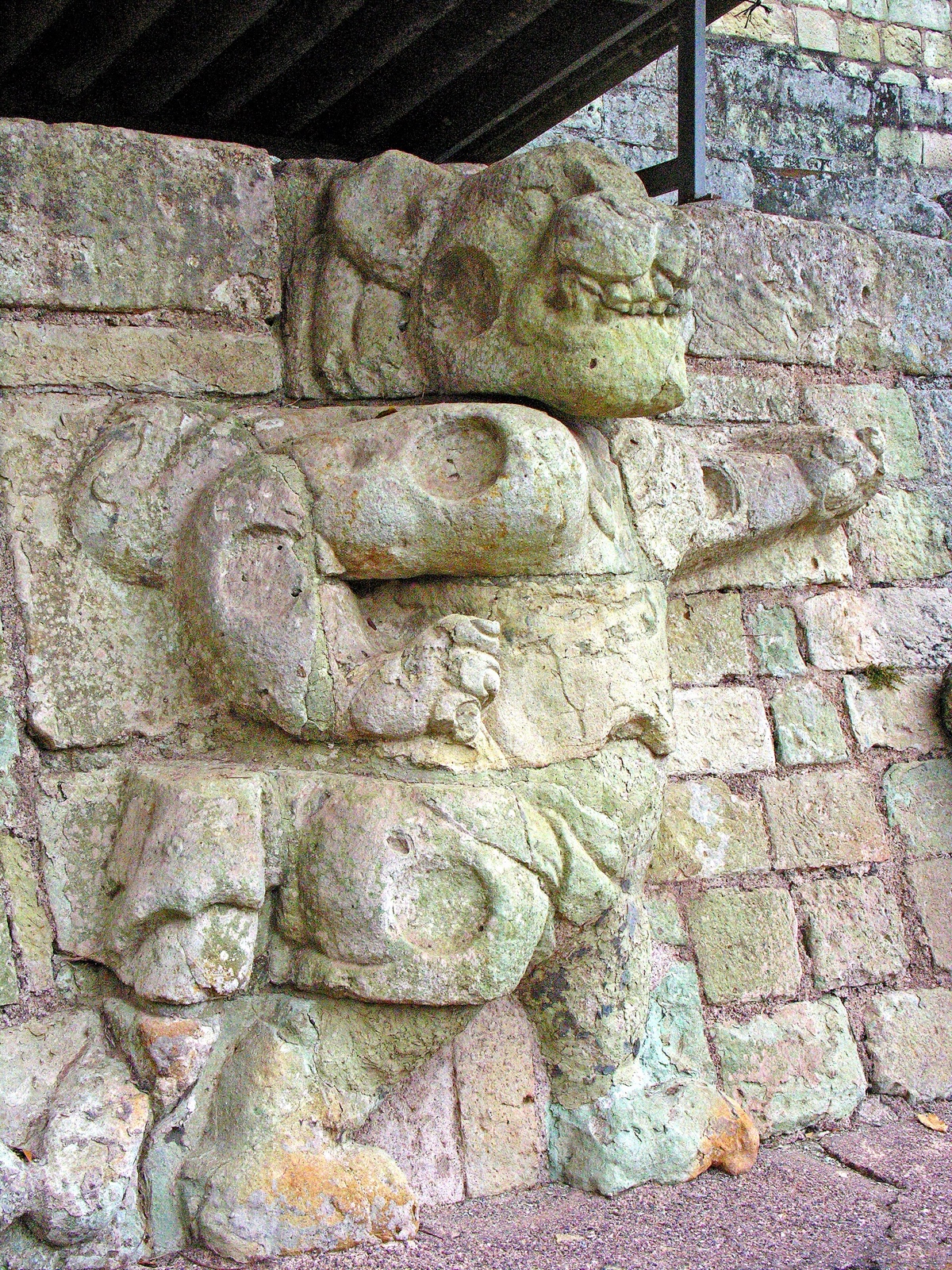 Xolotl