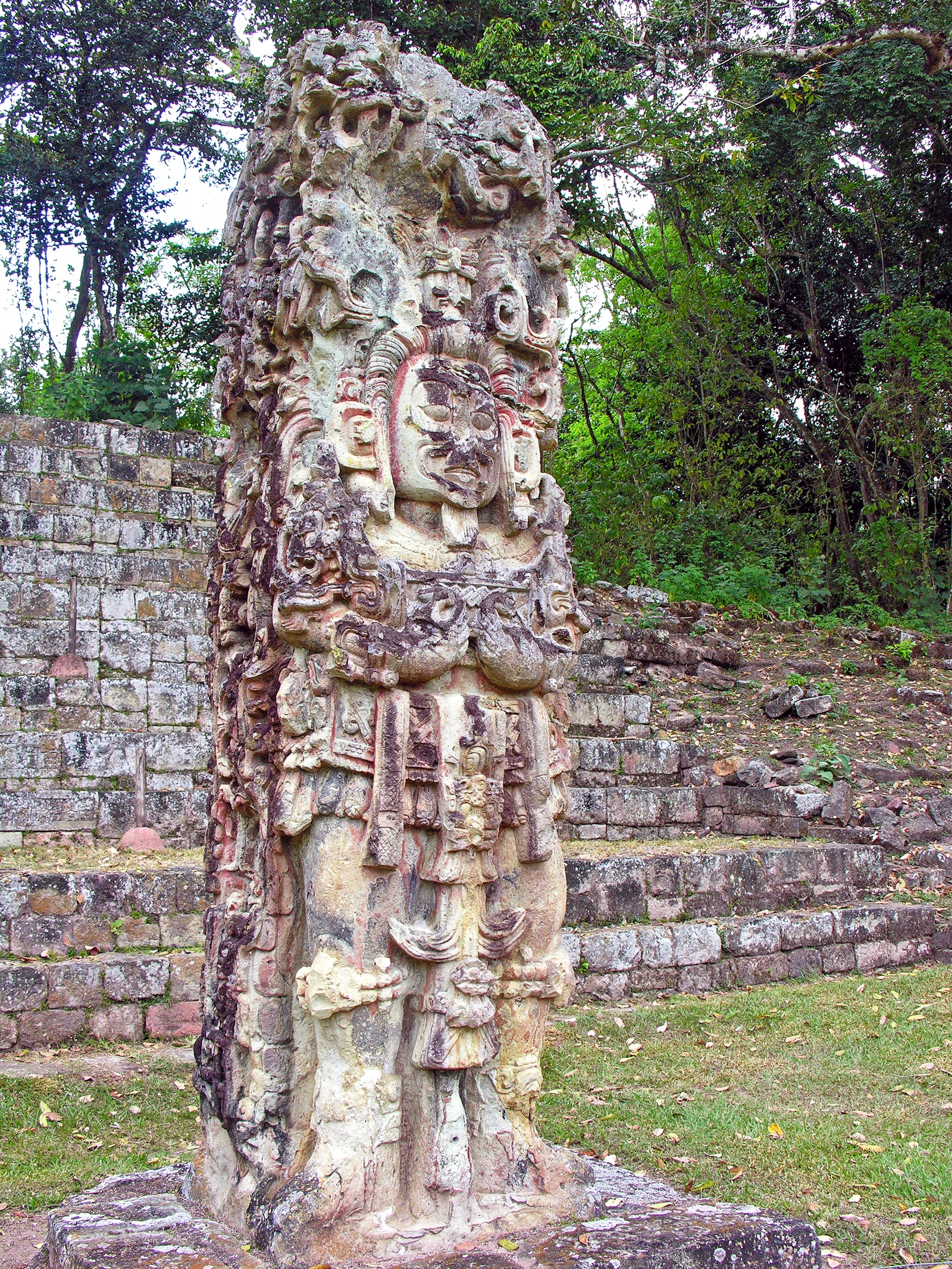 Stela D