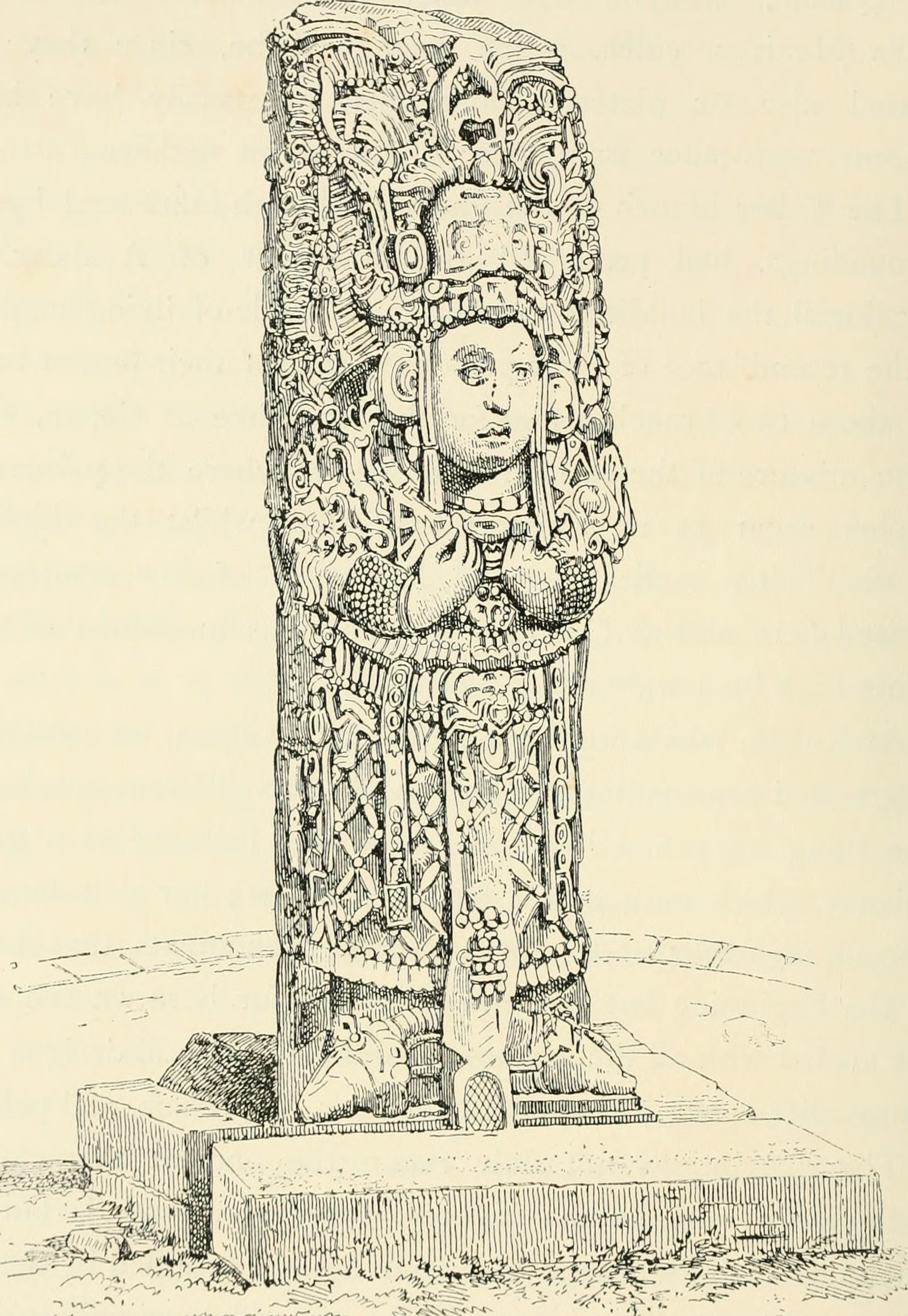 Stela N