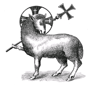 lamb