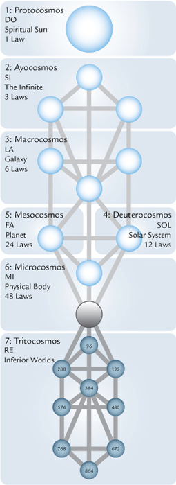 tree of life laws