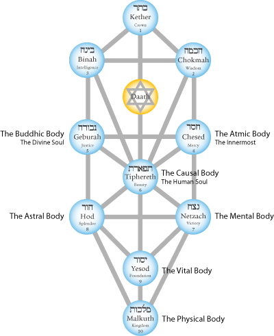 tree-of-life-bodies