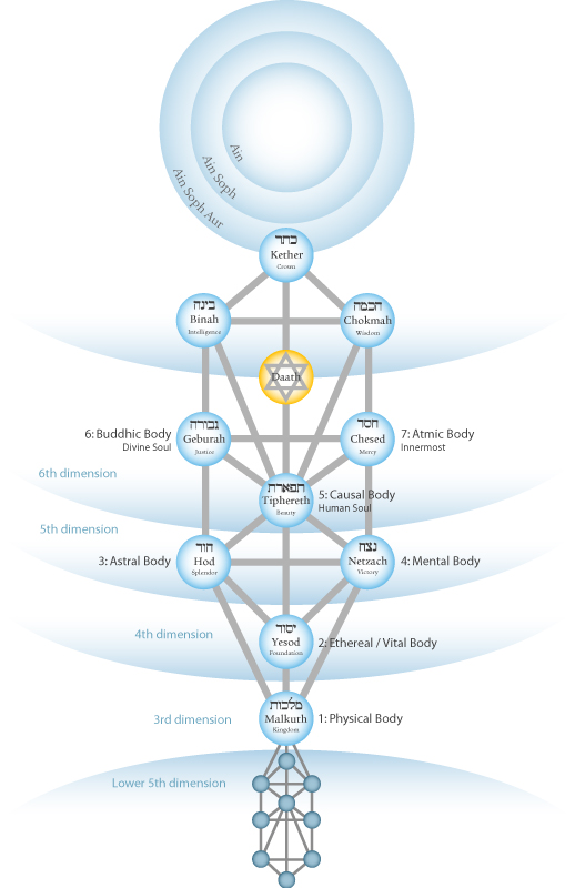 tree of life dimensions color