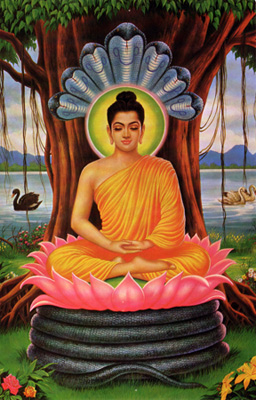buddha under the tree of life