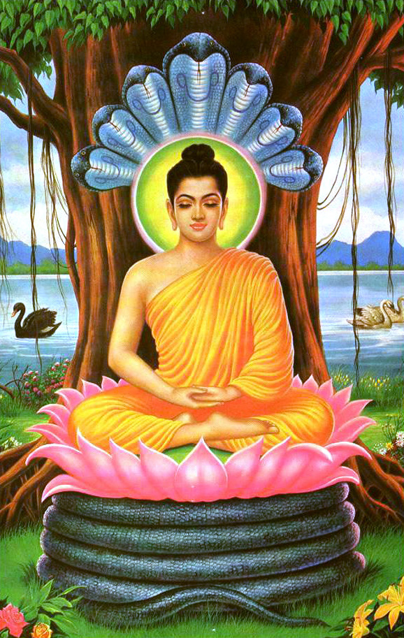 buddha-with-seven-serpents