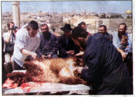 animal sacrifice