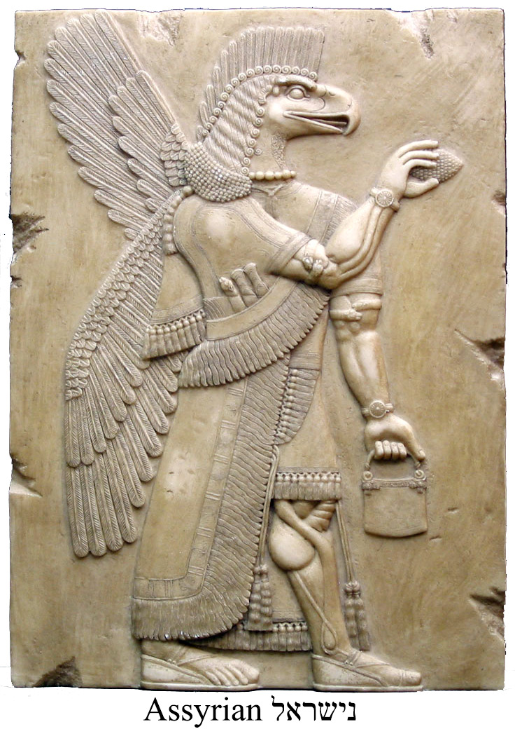 Assyrian נישראל