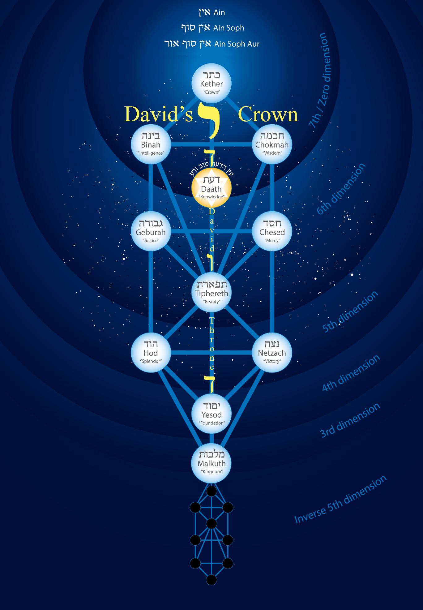 Davids Crown Tree