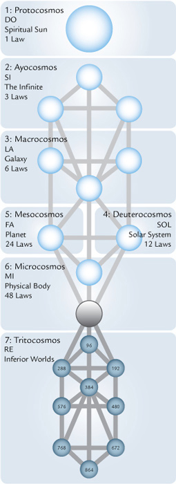 tree cosmos laws sun fmt1