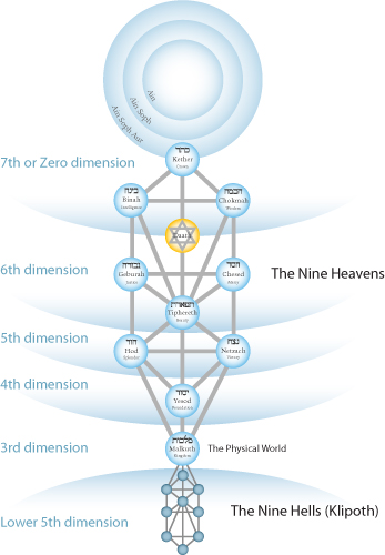tree-of-life-dimensions