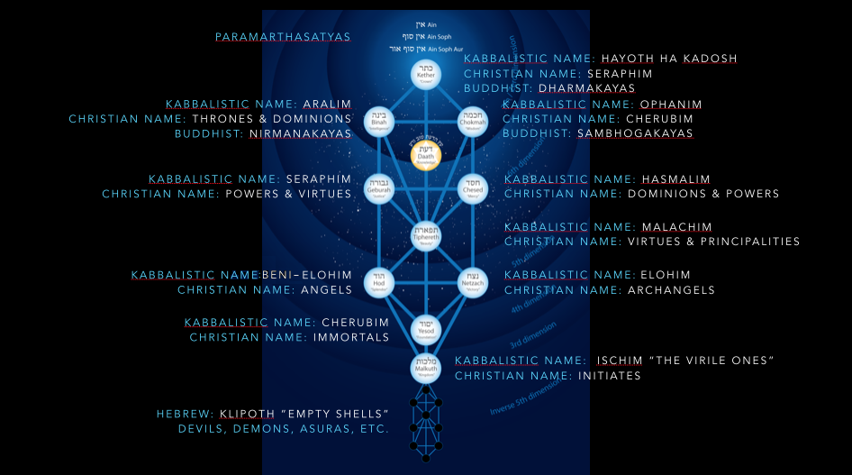 tree of life names new