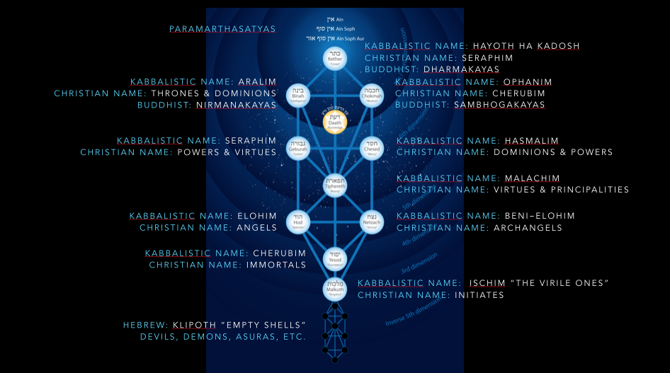 tree of life names
