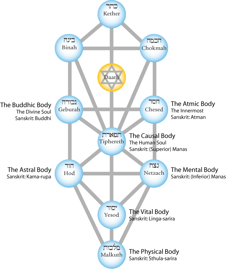 tree of life seven bodies