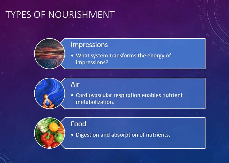 Three Types of Nourishment