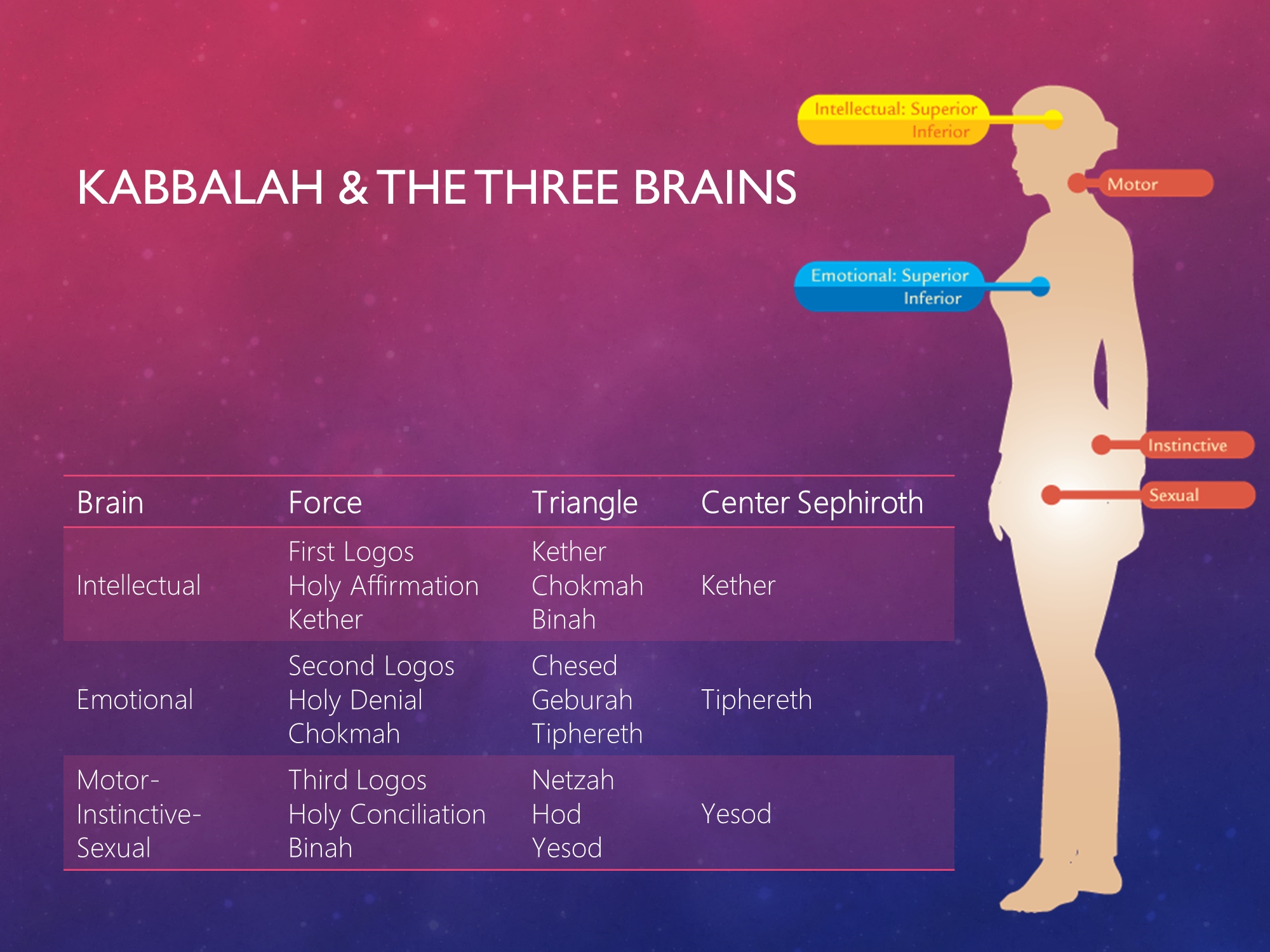 Kabbalah & the Three Brains