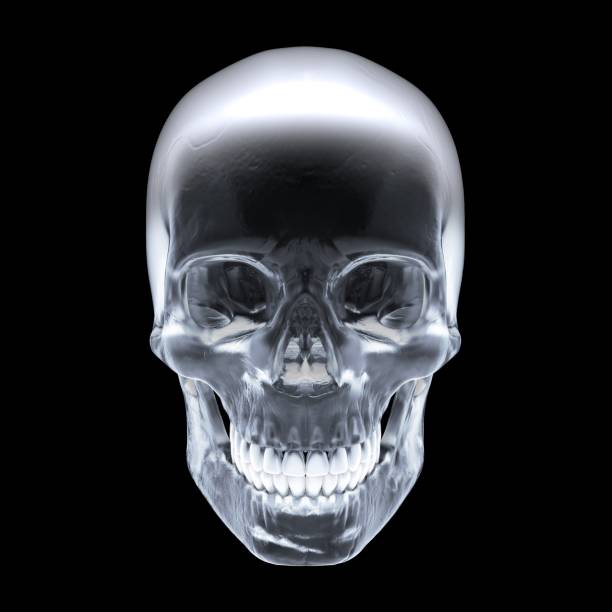 Crystal skull on dark background - Front view.