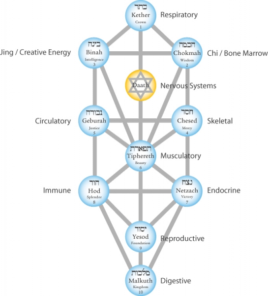 tree-of-life-energies