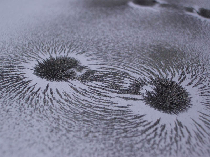 Iron shavings in the shape of magnetic fields.