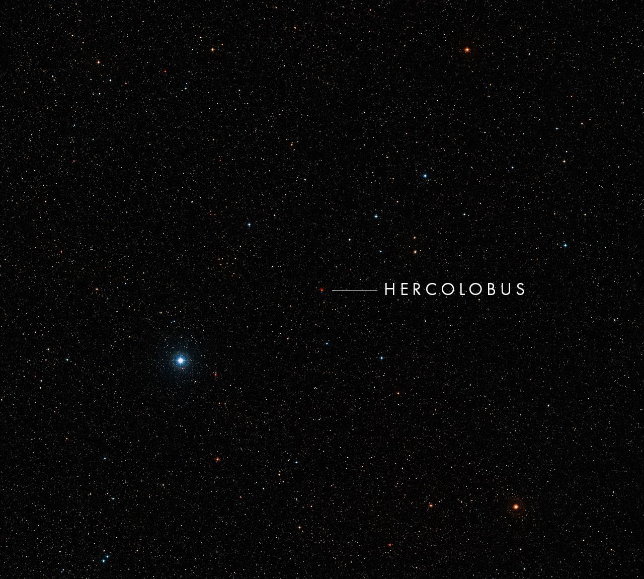 Hercolobus, also called Bernard's Star