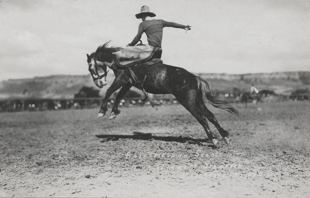 Cowboy Taming a Horse