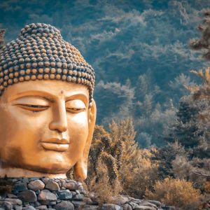 The Big head of Buddha statue in Waujeongsa Temple of South Korea, Landmark of South Korea,Credit: suksan yodyiam Stock photo ID:1177252118